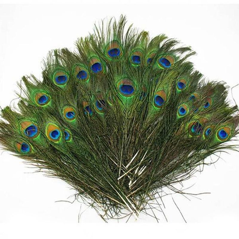 Natural Peacock Feather Diy Clothing Decoration Plumage Crafts