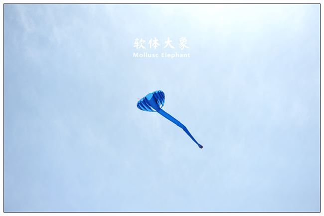 5.2m Blue single Line Stunt The elephant POWER Sport Kite 