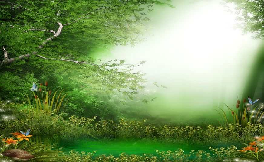 sfondo pc windows: hintergrund wald bilder