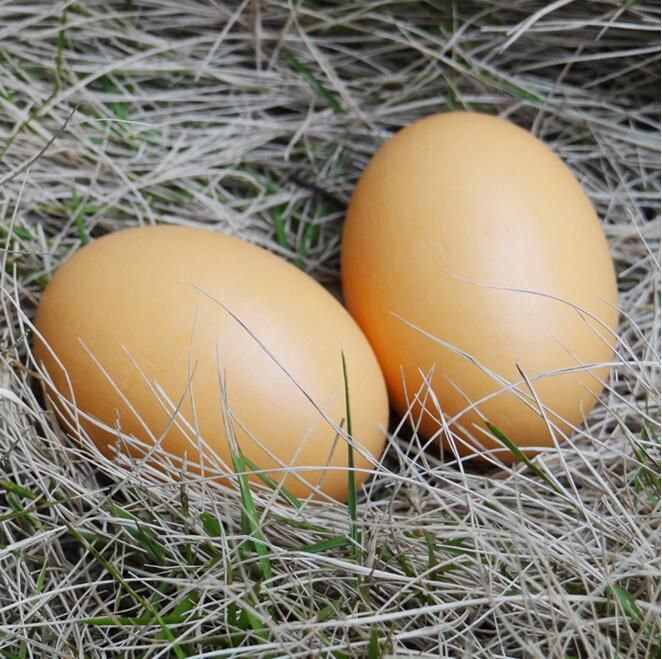 10 Piezas De Simulación De Huevos De Pascua De Madera Falsos 10 Piezas De Simulación De Huevos De Pascua De Madera Falsos