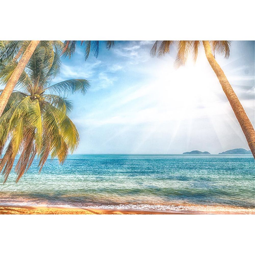 Tropical Beach Backdrop Photography Palm Trees Dreamlike Sunshine Blue