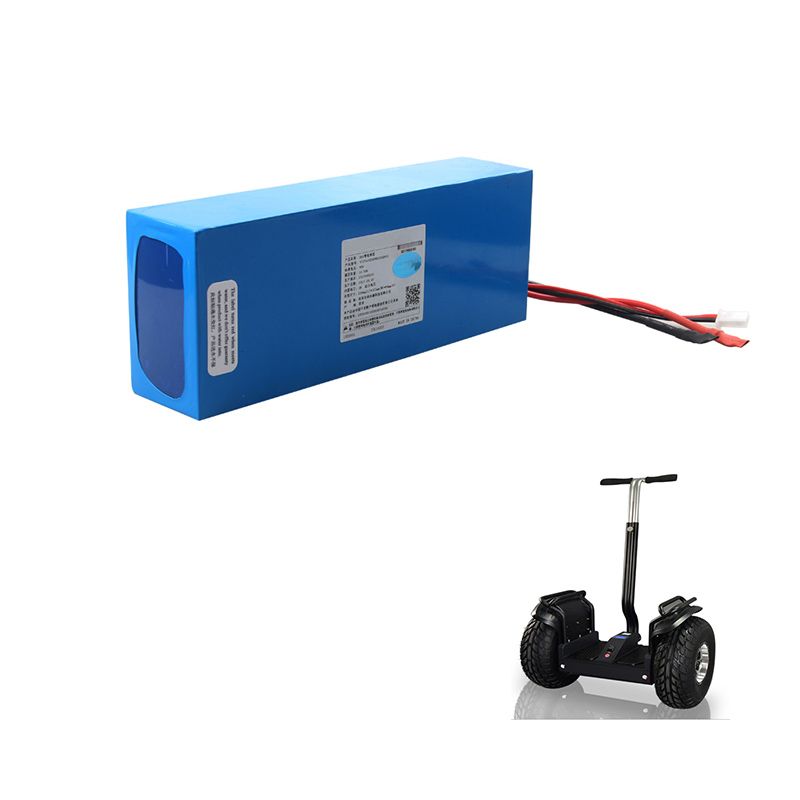 Customized Good Quality Scooter Battery 48V