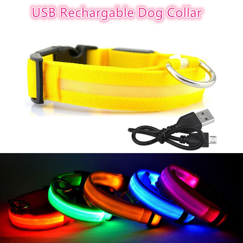 Acquista I S Xl Usb Ricaricabile Collare Cani Notte Sicurezza