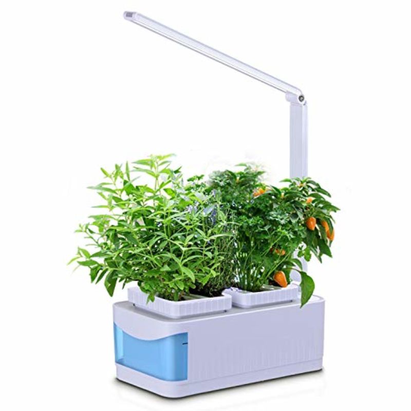 Hydroponics Growing System Auto Sensor Timer Gardening Kit With Grow Light 360 Adjule Desk Lamp Best Gifts For Women Mom Grandma