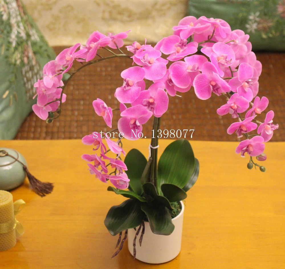 Best running wireless headphones 2020 uk Real pics of flowers in a vases