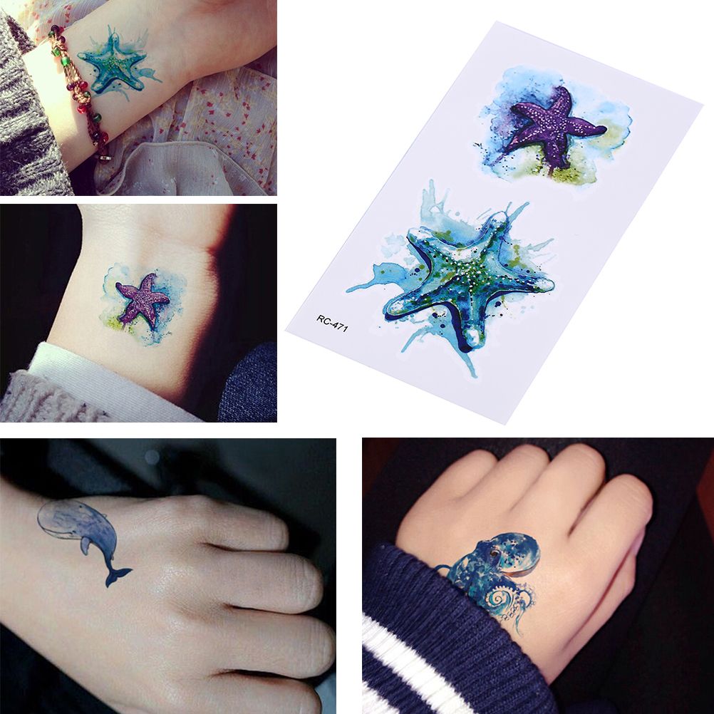 new starfish whale shark