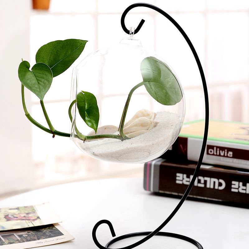 Diy Glass Ball Hook Frame Candle Holder Display Stand Semicircle Diy Glass Ball Hook Frame Candle Holder Display Stand Semicircle Half Round Shape Iron Rack Micro Landscape For Household 1 8gj2 Ff Brass