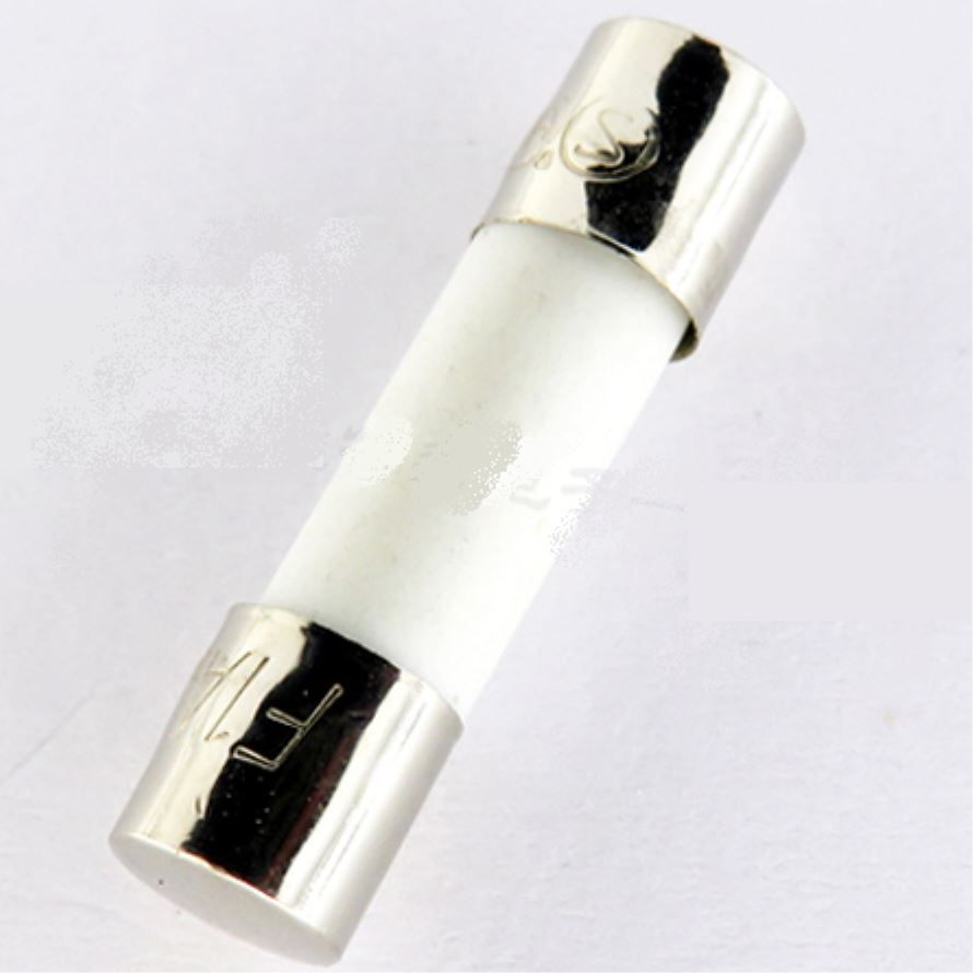 2 Pezzi FUSIBILE CERAMICO RITARDATO DI TIPO T 5A 250V 5x20mm