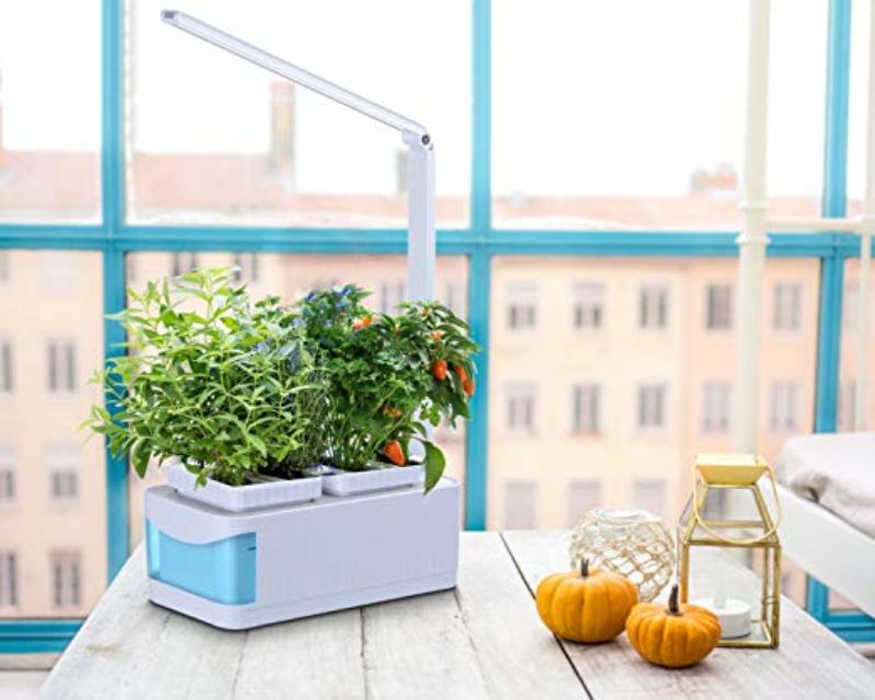 Hydroponics Grower Kit DIY Self Watering Indoor Hydroponics Tools DWC