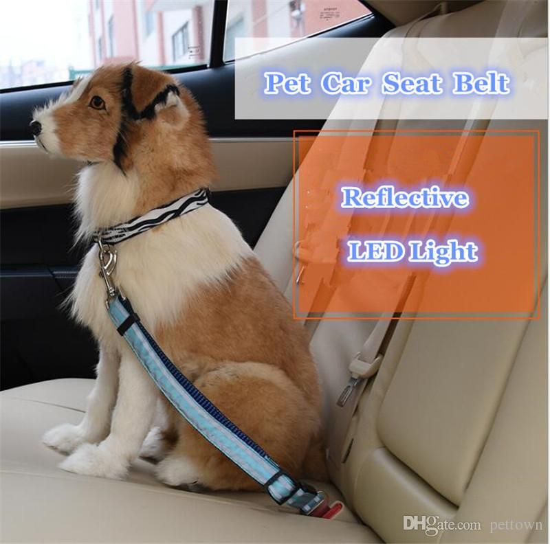 Pet Seat Belt >> B42 Reflective Led Pet Seat Belt Nylon Dog Traction Rope Keep Pet S Pet Seat Belt >> B42 Reflective Led Pet Seat Belt Nylon Dog Traction Rope Keep Pet S