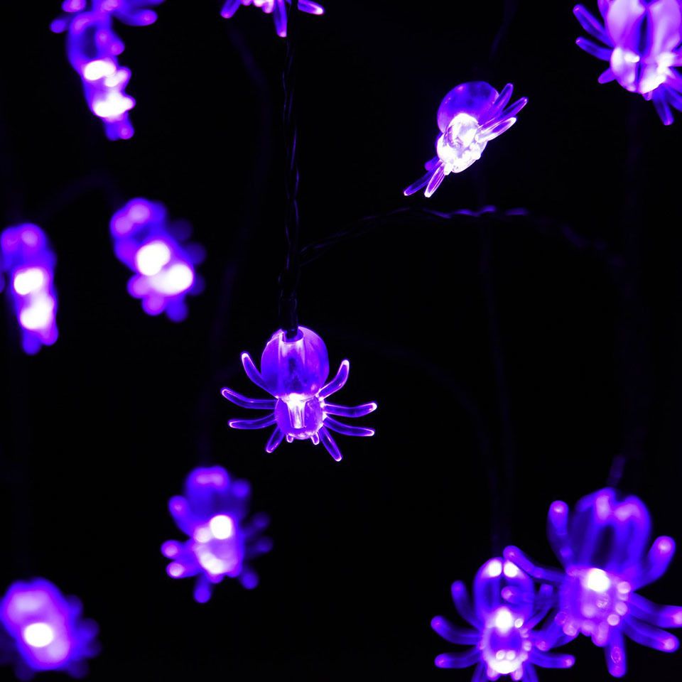 Halloween Insects Weird Spider Decor Lights 10 20 Led Carnival Solar Led Light Outdoor Backyard Garden Party Lights Led Festa Online With 18 51 Piece On Halloween Insects Weird Spider Decor Lights 10 20 Led Carnival Solar Led Light Outdoor Backyard Garden Party Lights Led Festa Online With 18 51 Piece On