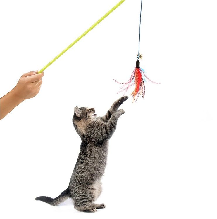 new cat supplies feathers tease and stick tease cat feathers cat rod