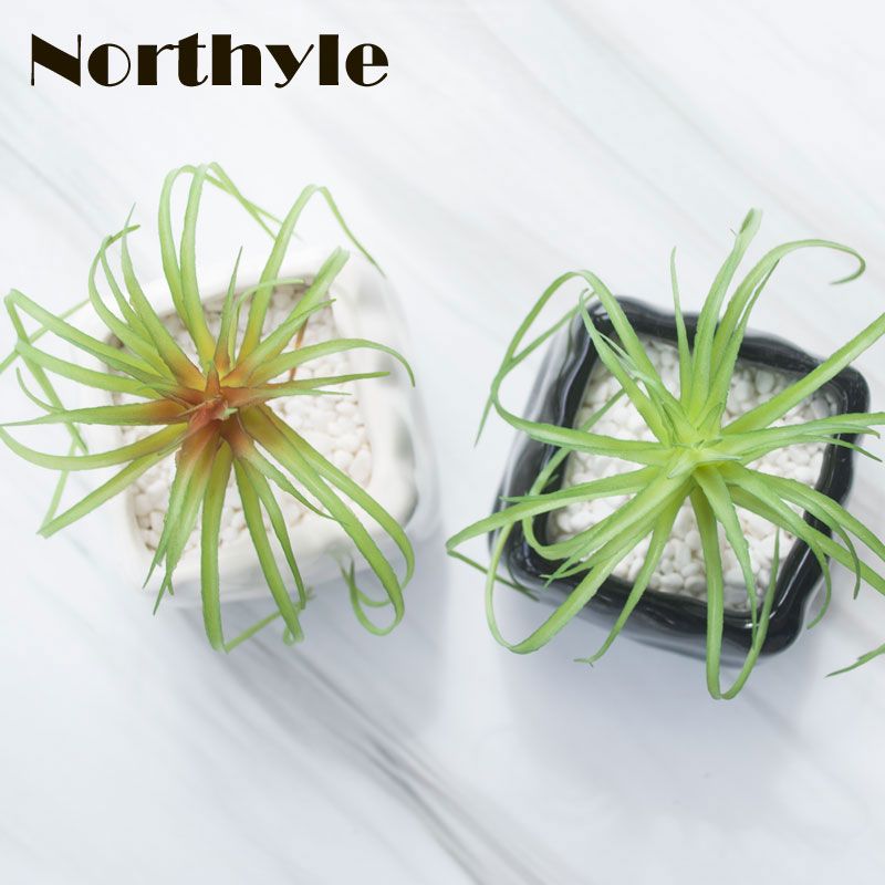 2018 artificial air plants diy fairy garden terrariums artificial succulents decor artificial grass from wang_xing 221 dhgatecom - Fairy Garden Plants 2018 artificial air plants diy fairy garden terrariums artificial succulents decor artificial grass from wang_xing 221 dhgatecom - Fairy Garden Plants