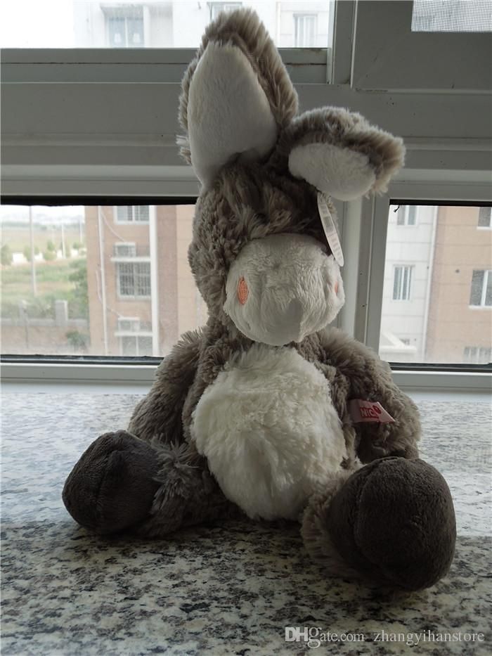 nici donkey