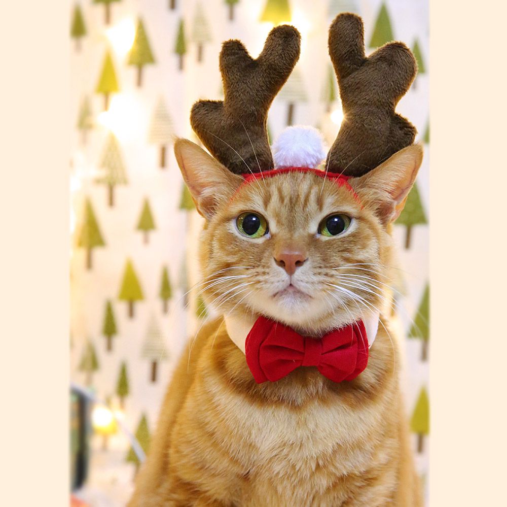 christmas elk headband for