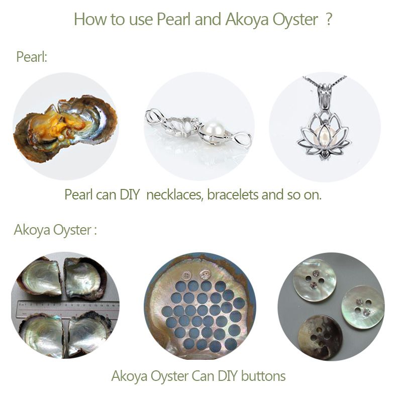 5 Pak 1 X 30 Inci 2 5x76 Cm 240 Grit Sabuk Ampelas Al Oksida Untuk Pengerjaan Logam Lazada Indonesia