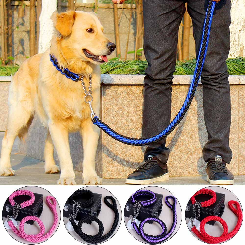 Acquista Guinzaglio Collare Regolabile Cani Guinzaglio Nylon Cani Di