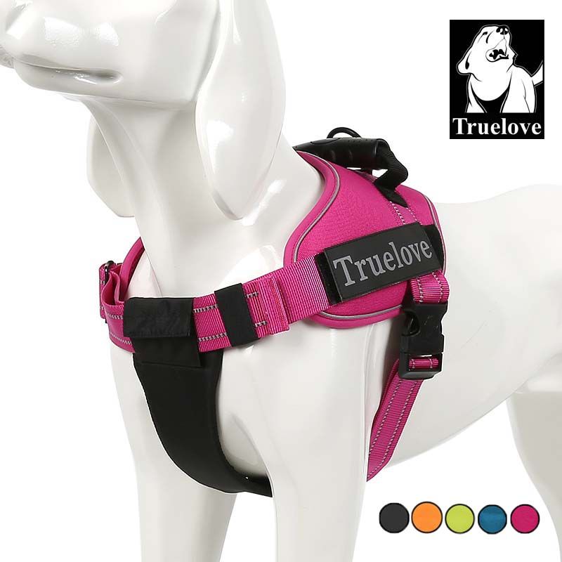collier harnais chien collier harnais chien