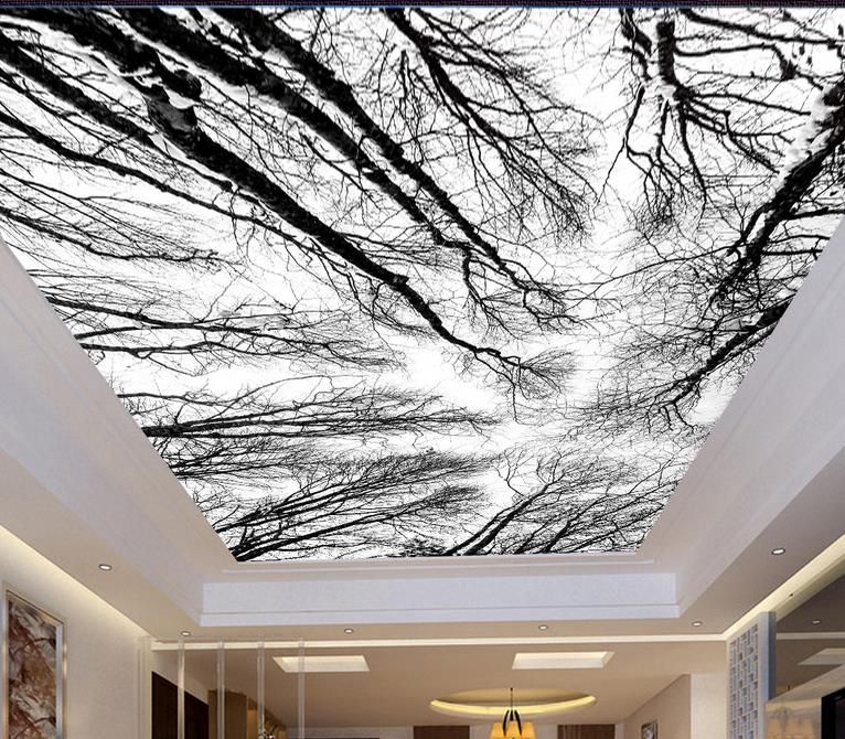 Floor Mural Wallpaper Looking Up At The Sky Ceiling Tree Ceiling