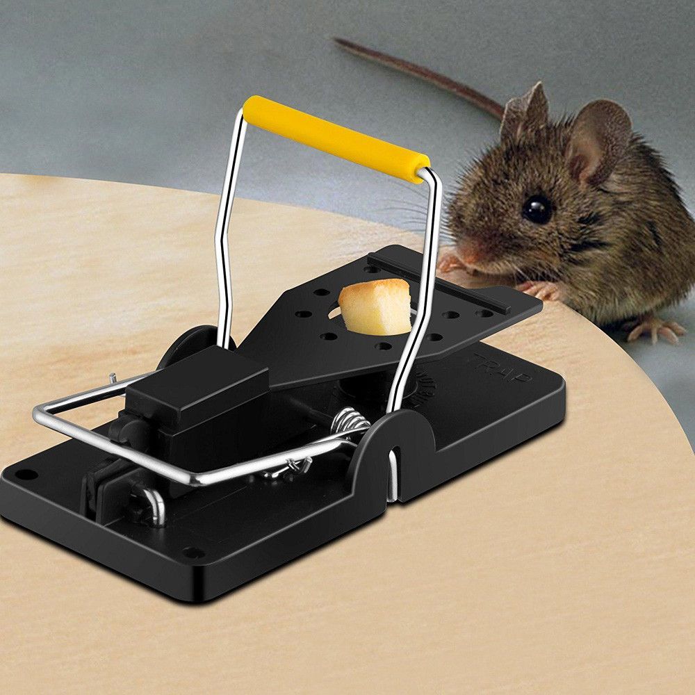 Cara nak jadi tikus hmm