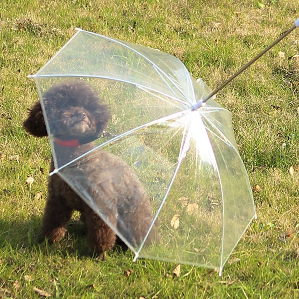 2021 Pet Umbrella Dog Umbrella With Leash Easy View Clear Transparent