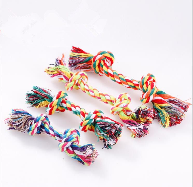 my dog ate a rope toy