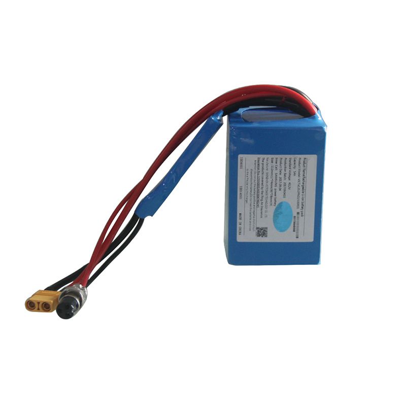 12S2P 43.2V 5Ah Li Ion Battery Pack For Electric Skateboard Electric