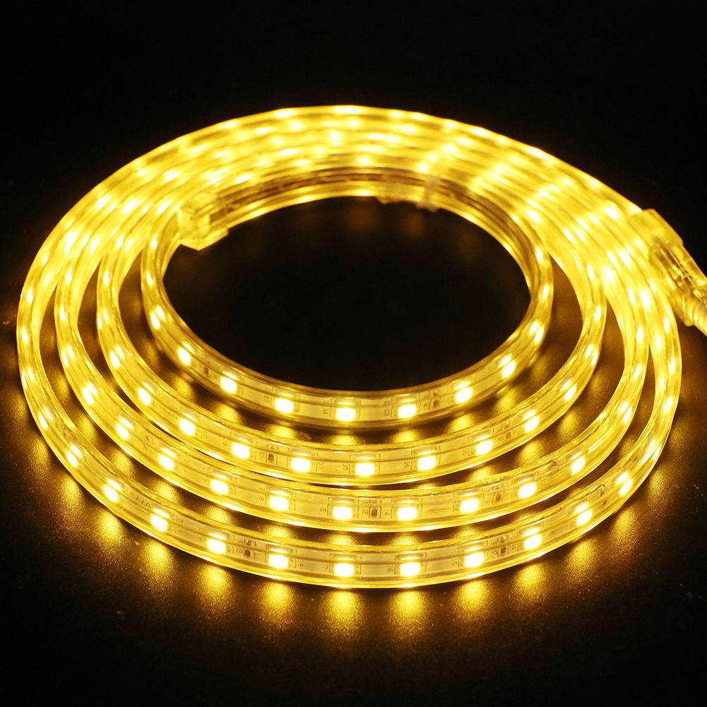 2018 220v 230v Dimmable Led Strips Smd 5050 Rope Light Ip68 Flex Lights For Outdoor Lighting String Disco Bar Pub Christmas Party From Brightness 8888