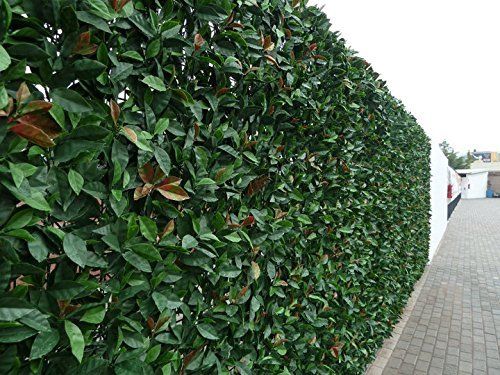 Großhandel Künstliche Pflanzen Buchsbaumhecke UV Geschützt Faux Grün