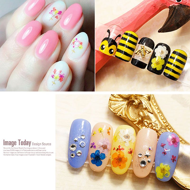 Nail Piercing 1box real nail small narcissus dried flowers nail art decoration diy tips small flowers nails stickers for manicure tools nail piercing nail printer from