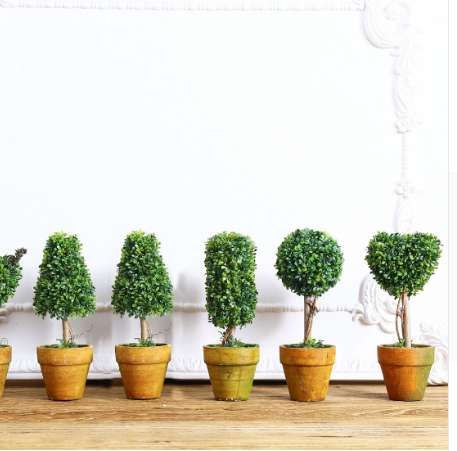 Top Mini Künstliche Pflanze Decor Dekorative Topfpflanze für Wohnzimmer Home Office Groß-und Einzelhandel Top Mini Künstliche Pflanze Decor Dekorative Topfpflanze für Wohnzimmer Home Office Groß-und Einzelhandel
