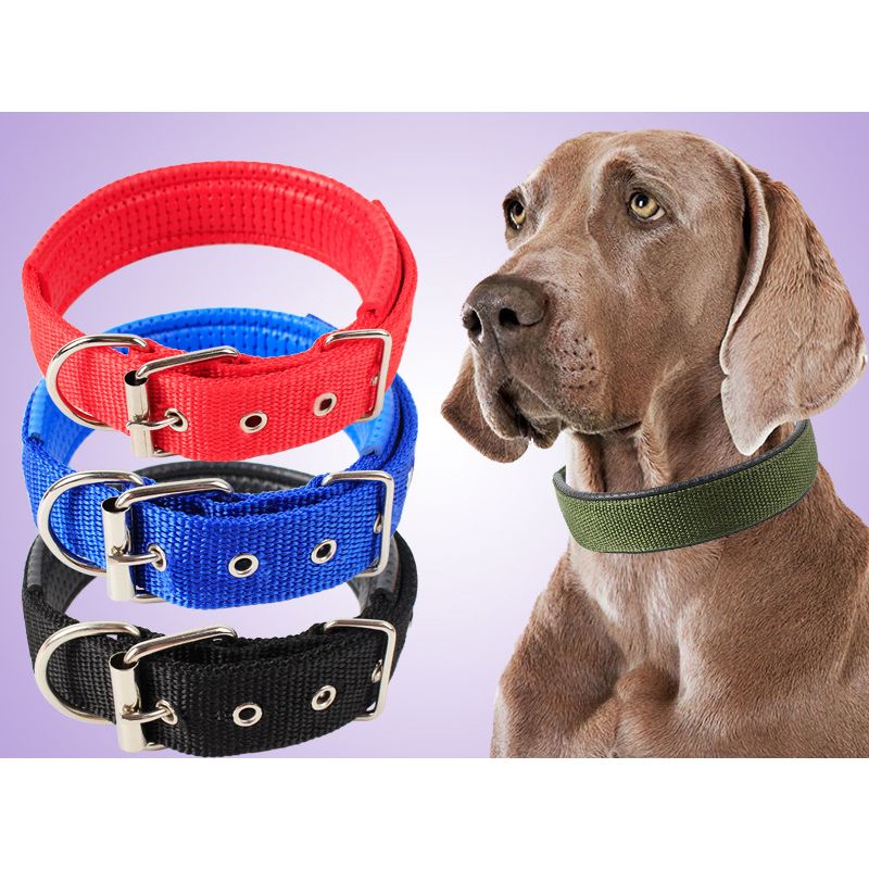 2021 Nylon Pet Dog Buckle Collar Dogs Neck Strap Leash Dog Collar