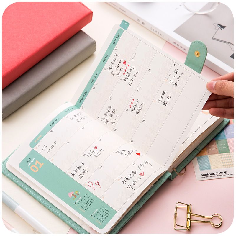 2019 2017 schedule planner weekly monthly yearly planner organizer