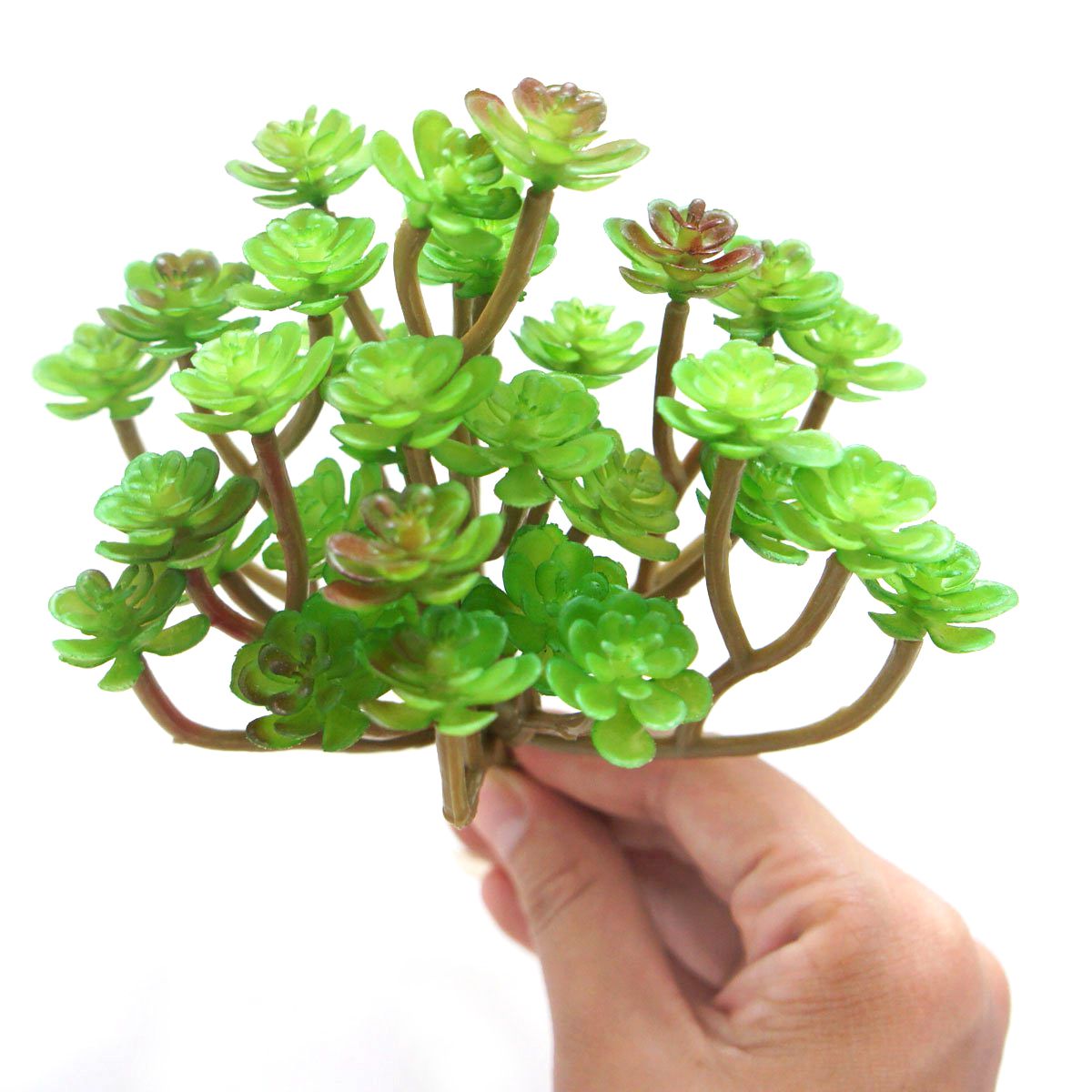 uomini con grossi rubinetti e palle