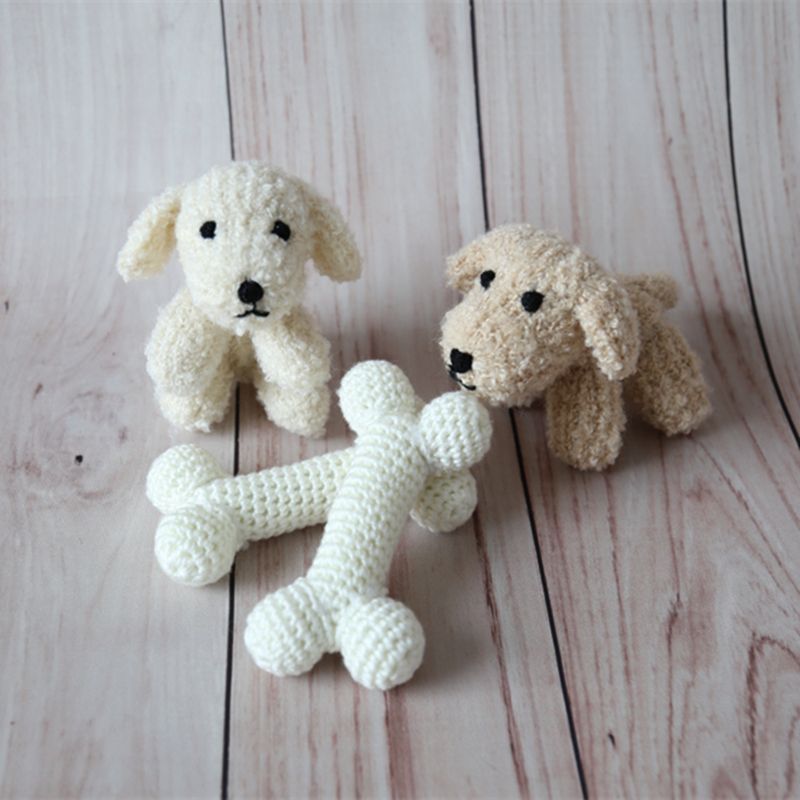 2019 teddy bunny photo