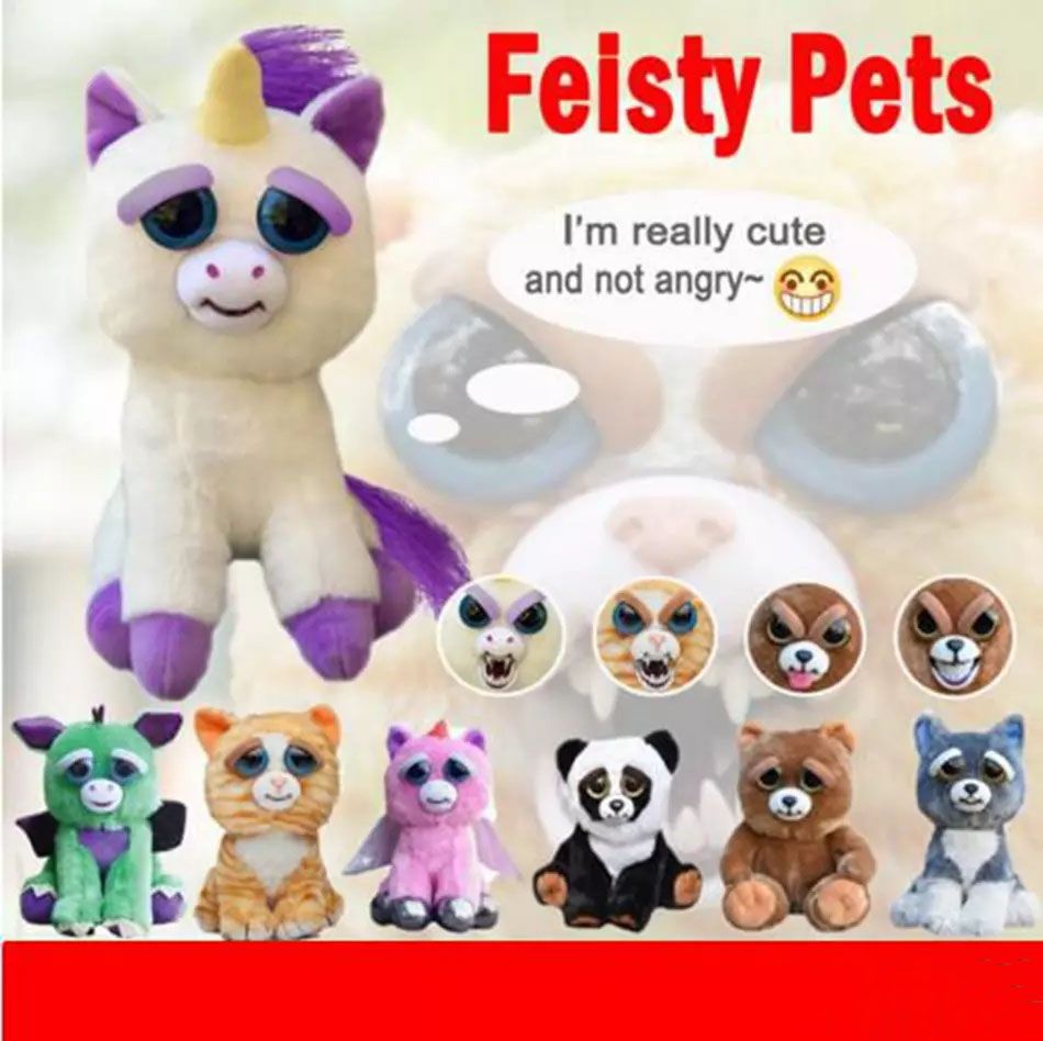 new feisty pets