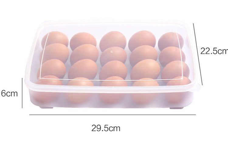 Food Savers & Storage Containers Online Sale Hard Plastic Egg Storage