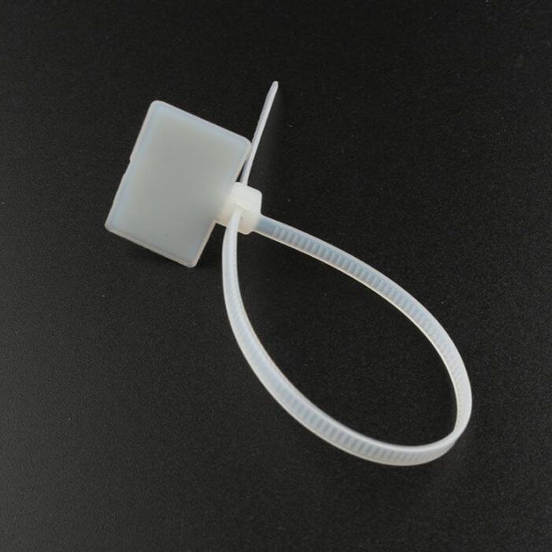2021 3*100mm Nylon Cable Tie With Label Tag Buckle Cable Sign Label