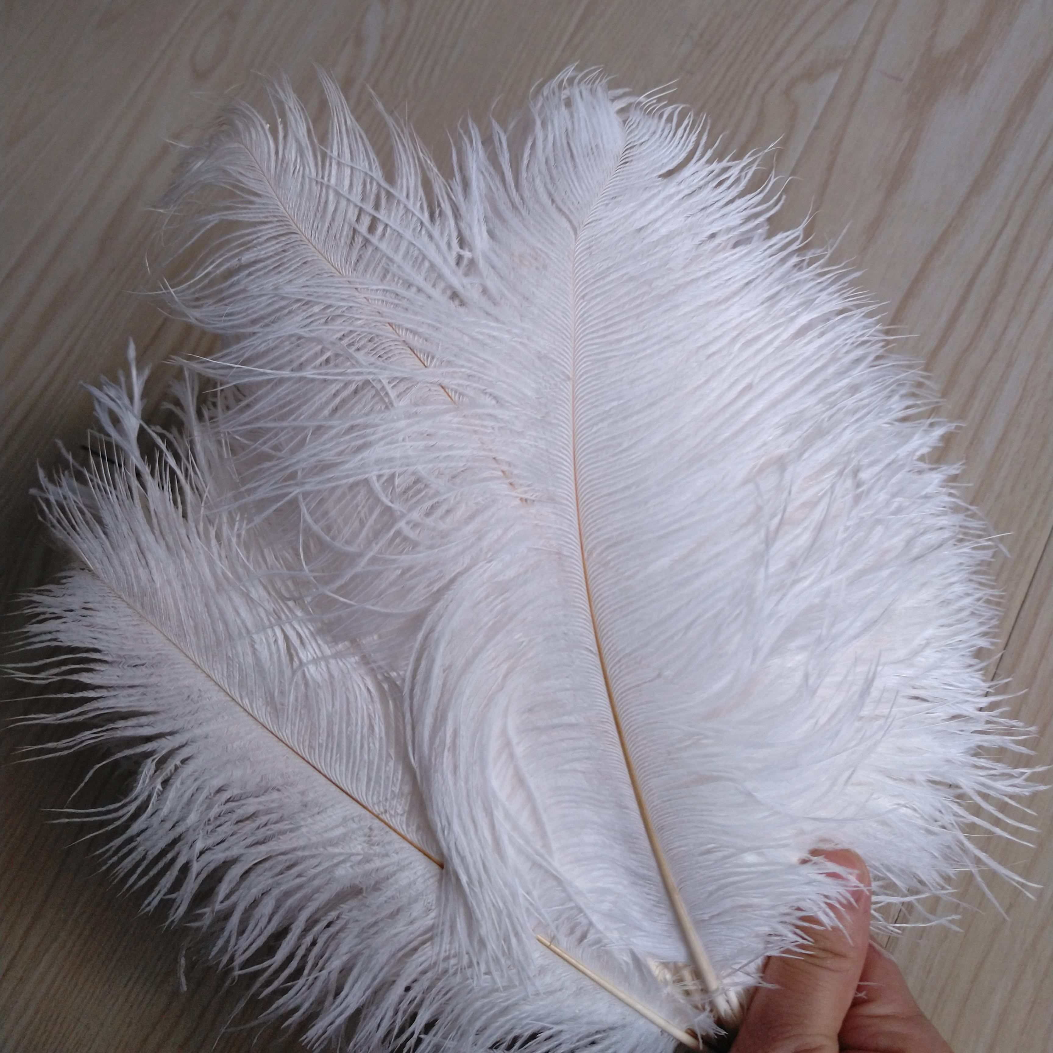 Wholesale 26 28inch Ostrich Feather Plume WHITE Wedding Centerpiece