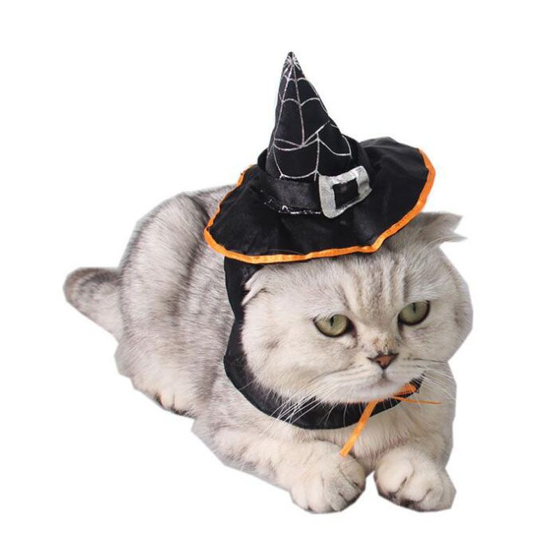 Acheter Chat Halloween Cosplay Deguisement Magicien Noir Magicien Chapeau De Sorciere Scraf Set Costumes Dhalloween Pour Animaux De Compagnie Za6593 De 3 47 Du Perfumeliang Fr Dhgate Com Acheter Chat Halloween Cosplay Deguisement Magicien Noir Magicien Chapeau De Sorciere Scraf Set Costumes Dhalloween Pour Animaux De Compagnie Za6593 De 3 47 Du Perfumeliang Fr Dhgate Com