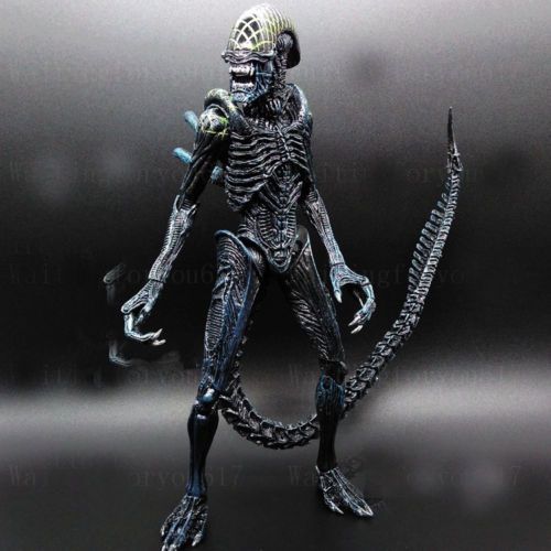 grid avp