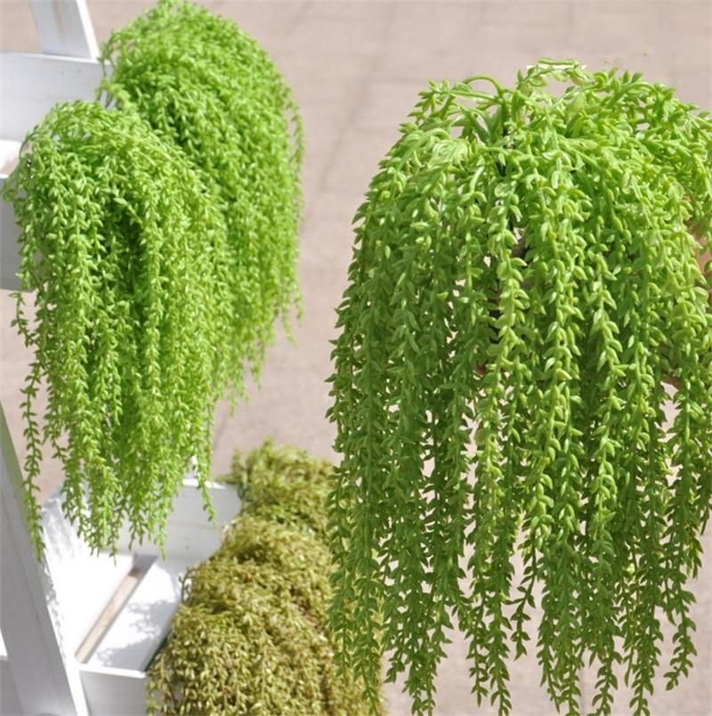 Artificial Green Rose Hang Baskets Ornamental Flower Simulation Meaty Potted Plants Vines Planting And Hanging Wall 2 6al Ff