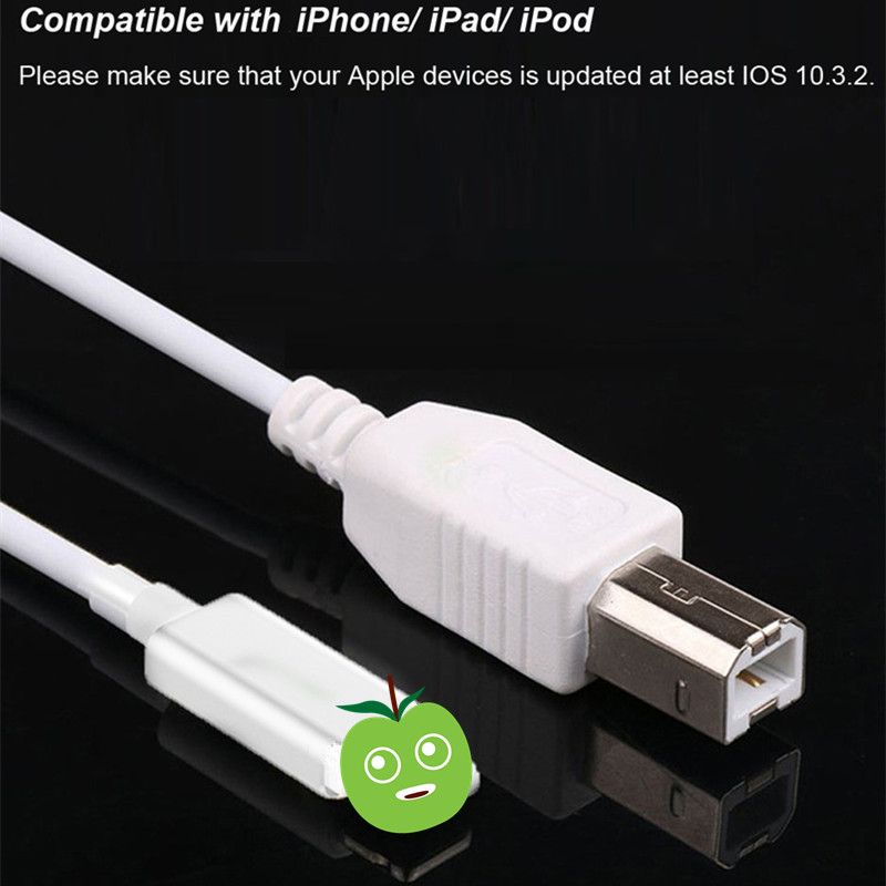 Câble Midi Usb 2 0 Lightning À Type B Cordon Grande Usb 2 0 Lightning À Type B