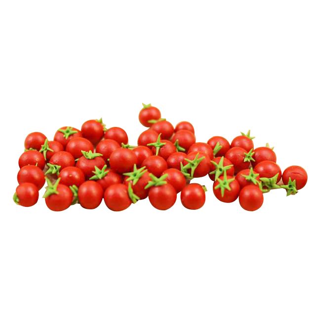 10pcs Many Kinds Of Fruit Miniature Dollhouse Decor Handmade Food Supply TO