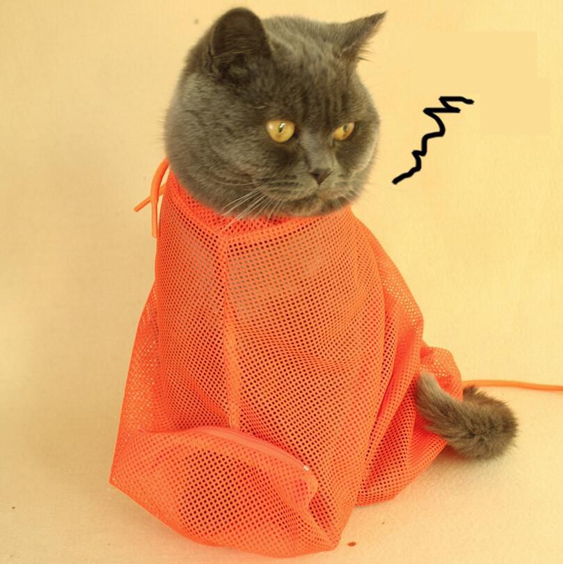 acheter sac de bain pour chat produits de nettoyage et de beauté