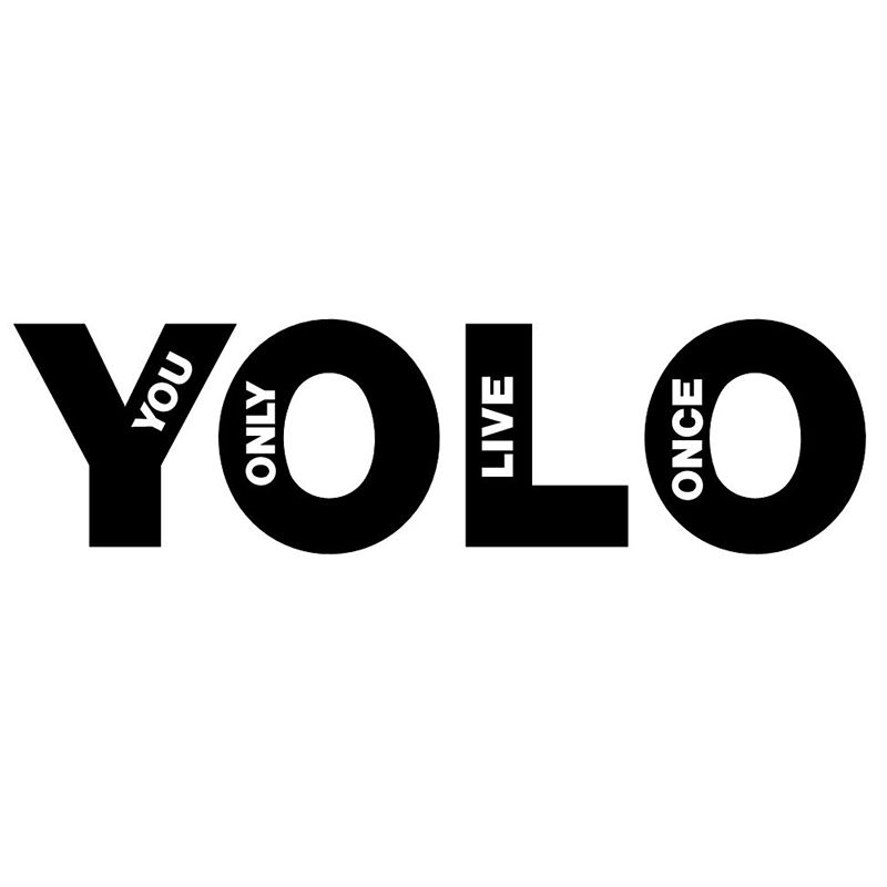 2022 YOLO  You Only Live Once Funny Car Bumper Window 