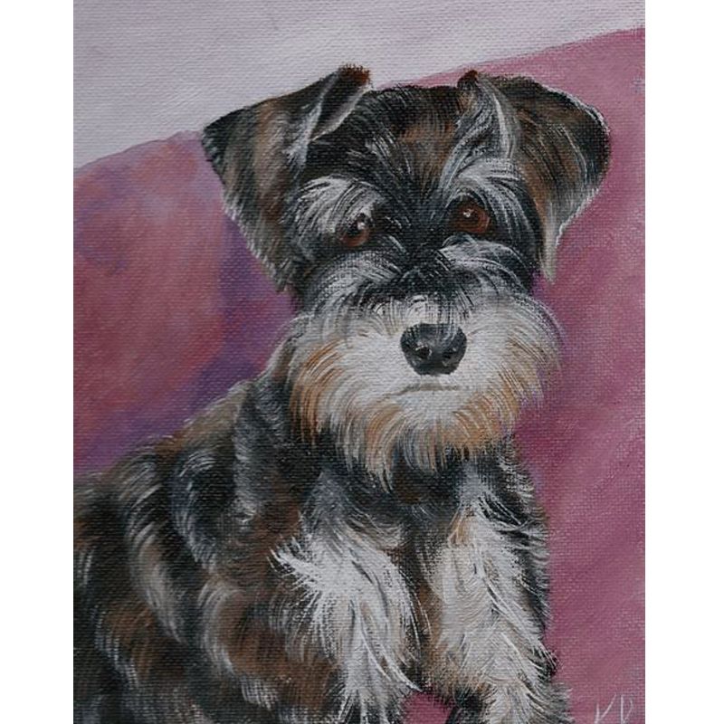 2021 24x34cm DIY Diamond Embroidery Schnauzer Dog Diamond Painting