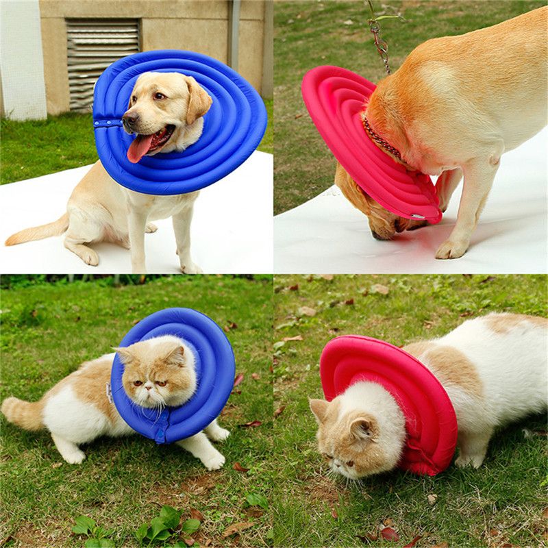 dog neck cover