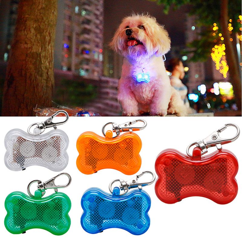 led dog tag