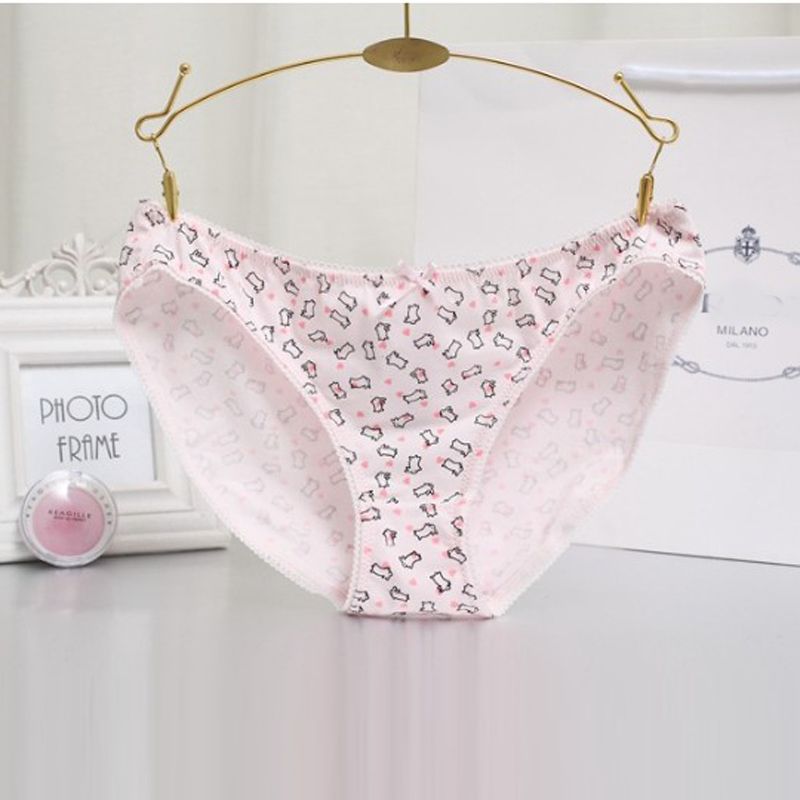 Sexy Women's Panties Briefs Cotton Bunny Printed Girls Women Underwear ...